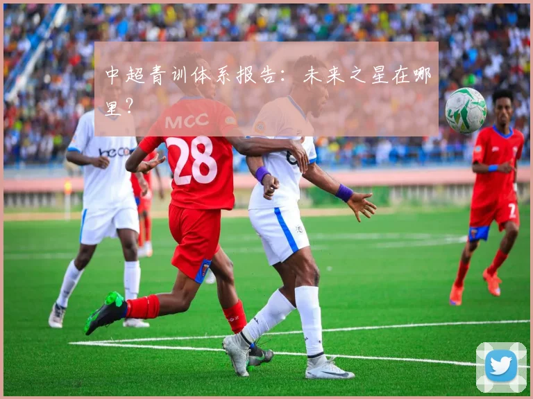 中超青训体系报告:未来之星在哪里?